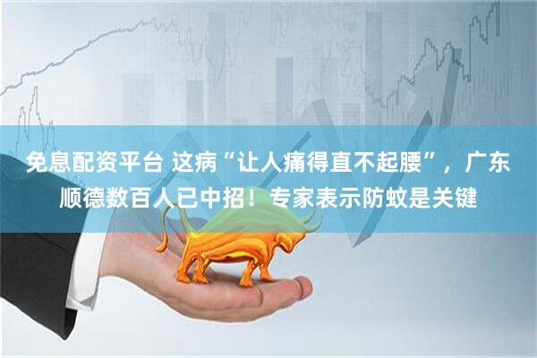 免息配资平台 这病“让人痛得直不起腰”，广东顺德数百人已中招！专家表示防蚊是关键